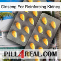 Ginseng For Reinforcing Kidney cialis2